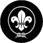 scouts