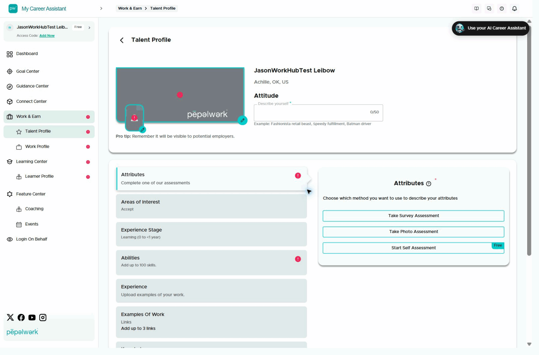 People Hub Talent Profile showing profile sections for attitude, attributes, abilities, experience, knowledge, languages, and profile status.
